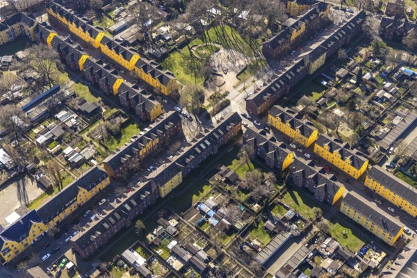 Aerial view, Duisburg Jupp colony, workers' housing estate with terraced houses, Steigerstraße, Stollenstraße, Glückaufstraße, yellow house facades, Alt-Hamborn, Duisburg, Ruhr area, North Rhine-Westphalia, Germany, workers' housing estate, construction project, DE, Europe, Josefs-Kolonie, aerial view, aerial photography, aerial photography, overview, bird's-eye view, factory housing estate, birds-eyes view, overview, yellow terraced houses