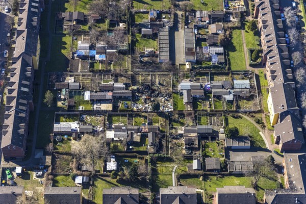 Aerial view, Duisburg Jupp colony, workers' housing estate with terraced houses, Steigerstraße, Stollenstraße, Glückaufstraße, Kliengarten demolition, Alt-Hamborn, Duisburg, Ruhr area, North Rhine-Westphalia, Germany, demolition, workers' housing estate, construction project, DE, Europe, garden area, Josefs-Kolonie, aerial view, aerial photography, aerial photography, overview, bird's-eye view, factory housing estate construction, birds-eyes view, overview