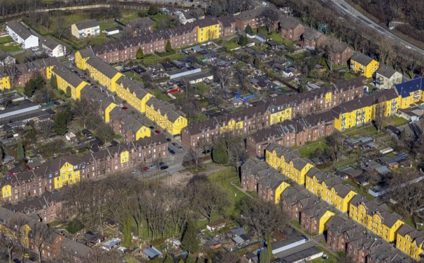 Aerial view, Duisburg Jupp colony, workers' housing estate with terraced houses, Steigerstraße, Stollenstraße, Glückaufstraße, yellow house facades, Alt-Hamborn, Duisburg, Ruhr area, North Rhine-Westphalia, Germany, workers' housing estate, construction project, DE, Europe, Josefs-Kolonie, aerial view, aerial photography, aerial photography, overview, bird's-eye view, factory housing estate, birds-eyes view, overview, yellow terraced houses