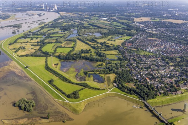 Aerial view, flood river Rhine, flooding floodplain Rhine Walsum, lift bridge Königstraße Walsum at the north harbour Walsum, Alt-Walsum, Duisburg, Ruhr area, North Rhine-Westphalia, Germany, bridge, DE, Europe, flood, flood of the century, landscape conservation area, aerial photograph, aerial photography, aerial photography, nature reserve, water level Duisburg, Rhine flood, heavy rain, overview, bird's eye view, overview, flooding