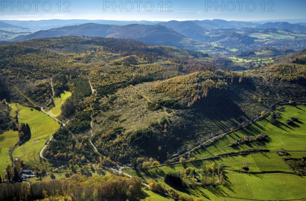Aerial view, forest area with forest damage in the Petersborn district of Brilon, Sauerland, North Rhine-Westphalia, Germany, tree dieback, bark beetle damage, bark beetle plague, Brilon, DE, Europe, spruce dieback, Gimmental landscape conservation area, hilly landscape, clear-cutting, landscape conservation area, aerial view, aerial photography, aerial photography, overview, bird's eye view, forest, forest area, forest damage, forest dieback, birds-eyes view, overview