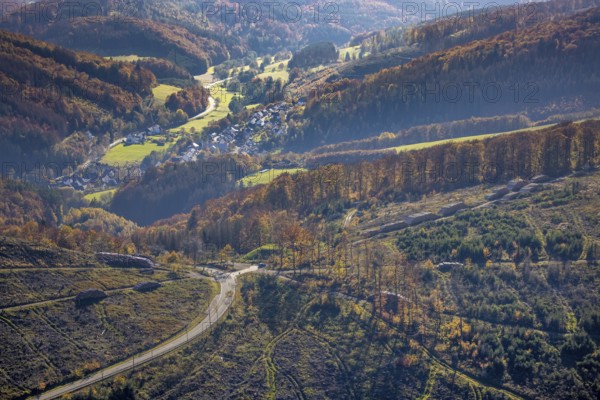 Aerial view, forest area with forest damage in the village of Bontkirchen in the district of Hoppecke in Brilon, Sauerland, North Rhine-Westphalia, Germany, tree dieback, bark beetle damage, bark beetle plague, Brilon, DE, Europe, spruce dieback, autumn colours, autumn forest, hilly landscape, clear-cutting, landscape conservation area, aerial photograph, aerial photography, aerial photography, overview, bird's-eye view, forest, forest area, forest damage, forest dieback, birds-eyes view, overview