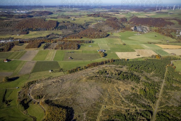 Aerial view, forest area with forest damage and wind farm in the background in the district of Hoppecke in Brilon, Sauerland, North Rhine-Westphalia, Germany, tree dieback, bark beetle damage, bark beetle plague, Brilon, DE, Europe, spruce dieback, hilly landscape, clear cutting, landscape conservation area, aerial view, aerial photography, aerial photography, overview, bird's eye view, forest, forest area, forest damage, forest dieback, birds-eyes view, overview