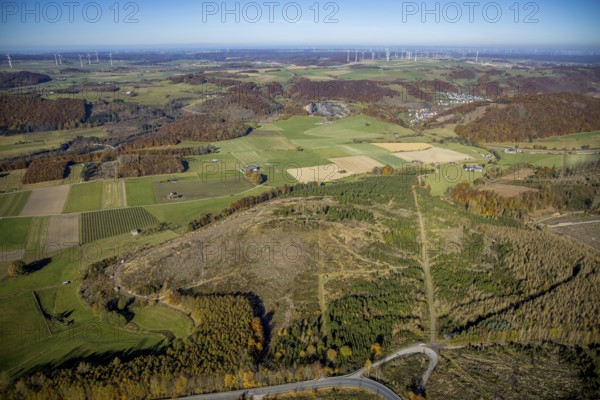 Aerial view, forest area with forest damage and wind farm in the background in the district of Hoppecke in Brilon, Sauerland, North Rhine-Westphalia, Germany, tree dieback, bark beetle damage, bark beetle plague, Brilon, DE, Europe, spruce dieback, hilly landscape, clear cutting, landscape conservation area, aerial view, aerial photography, aerial photography, overview, bird's eye view, forest, forest area, forest damage, forest dieback, birds-eyes view, overview