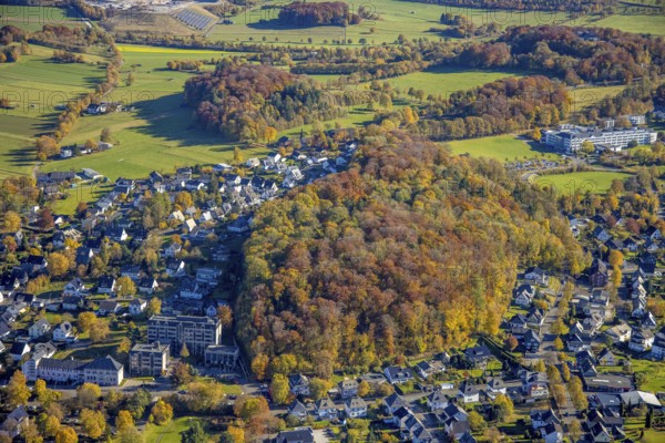 Aerial view, forest Drübel - nature reserve in autumn colours and vehicle registration office Brilon in Brilon, Sauerland, North Rhine-Westphalia, Germany, authority, Brilon, DE, Europe, health care, hospital, clinic, clinic, hospital, hospital, aerial photograph, aerial photography, aerial photography, medical facility, medical aid, Maria-Hilf Brilon Municipal Hospital, overview, bird's eye view, forest area, birds-eyes view, overview, medical care