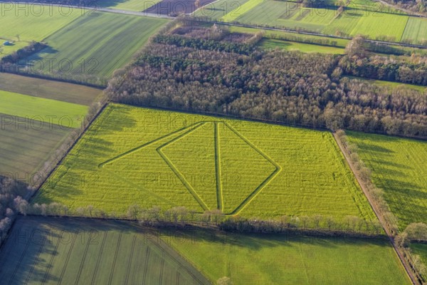 Aerial view with traces in the landscape in Dorsten in the Ruhr area in North Rhine-Westphalia, Germany, DE, Germany, Dorsten, Europe, shapes and colours, Hervester Straße, aerial view, aerial photograph, aerial photography, aerial photography, North Rhine-Westphalia, Ruhr area, overview, bird's-eye view, forest, meadows and fields, birds-eyes view, overview