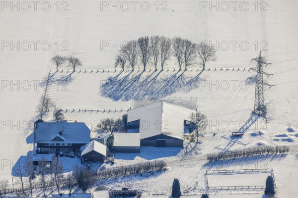 Aerial view, trees and house in the snow at Sölder Kirchweg, Sölde, Dortmund, Ruhr area, North Rhine-Westphalia, Germany, row of trees, DE, Europe, shapes and colours, aerial view, aerial photography, aerial photography, snow, overview, bird's eye view, winter, onset of winter, winter landscape, birds-eyes view, overview, high-voltage pylon, residential building