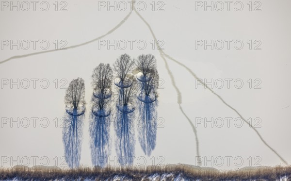 Aerial view, snow-covered trees in Phoenix Lake, Hörde, Dortmund, Ruhr area, North Rhine-Westphalia, Germany, trees, DE, Europe, shapes and colours, island, aerial view, aerial photography, aerial photography, snow, lake, overview, bird's eye view, winter, winter onset, winter landscape, birds-eyes view, overview, ice, ice surface, thin ice, break in the ice, breaks in the ice, snow-covered ice surface, artificial lake