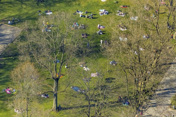 Aerial view, lawns in Westpark, spring weather on Dortmund's lawns, Dortmund, Ruhr area, North Rhine-Westphalia, Germany, DE, Europe, birds-eyes view, aerial view, aerial photography, aerial photography, overview, overview, bird's eye view, spring, summer weather in March, Dortmund's lawns, sunbathing with Corona distance