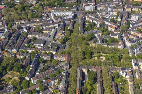 Aerial view, green Mallinckrodtstraße and Nordmarkt, Dortmund North, Dortmund, Ruhr area, North Rhine-Westphalia, Germany, DE, Europe, aerial view, aerial photography, aerial photography, market, overview, bird's-eye view, overview