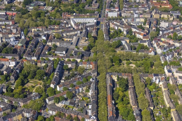 Aerial view, green Mallinckrodtstraße and Nordmarkt, Dortmund North, Dortmund, Ruhr area, North Rhine-Westphalia, Germany, DE, Europe, aerial view, aerial photography, aerial photography, market, overview, bird's-eye view, overview
