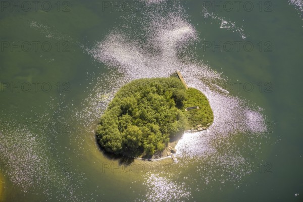 Aerial view, Phoenix Lake, island in the lake, Hörde, Dortmund, Ruhr area, North Rhine-Westphalia, Germany, DE, Europe, aerial photography, aerial photography, aerial photography, Phoenix Lake, overview, bird's-eye view, overview, Emscher, Emscher River