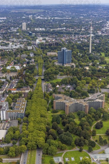 Aerial view, greened Rheinlanddamm with Signal Iduna headquarters, Westnetz GmbH building and Florianturm in the district Westfalenhalle in Dortmund, Ruhr area, North Rhine-Westphalia, Germany, federal road B1, DE, Dortmund, Europe, television tower, commercial enterprises, commercial area, commercial area, commercial location, commercial use, aerial view, aerial photography, aerial photography, tower, overview, bird's-eye view, overview