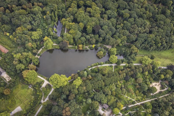 Aerial view, Rombergpark with lake in the district Hörde in Dortmund, Ruhr area, North Rhine-Westphalia, Germany, DE, Dortmund, Europe, leisure area, leisure park, aerial view, aerial photography, aerial photography, park, lake, overview, bird's eye view, forest area, birds-eyes view, overview