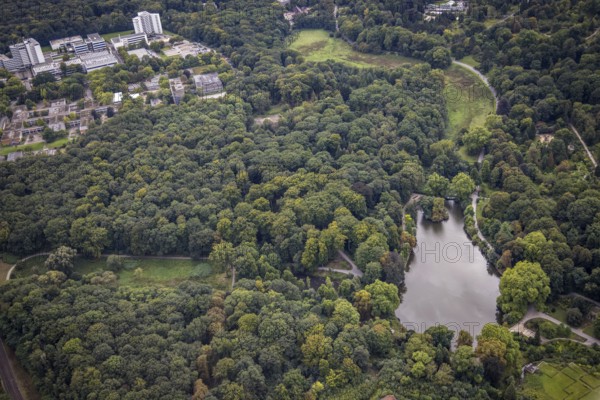 Aerial view, Rombergpark with lake in the district Hörde in Dortmund, Ruhr area, North Rhine-Westphalia, Germany, DE, Dortmund, Europe, leisure area, leisure park, aerial view, aerial photography, aerial photography, park, lake, overview, bird's eye view, forest area, birds-eyes view, overview