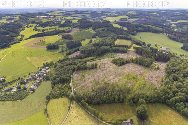 Aerial view, forest area with forest damage in Heimicke, Drolshagen, Sauerland, North Rhine-Westphalia, Germany, tree death, bark beetle damage, bark beetle plague, DE, Europe, clear-cutting, aerial view, aerial photography, aerial photography, overview, bird's eye view, forest, forest damage, forest dieback, birds-eyes view, overview