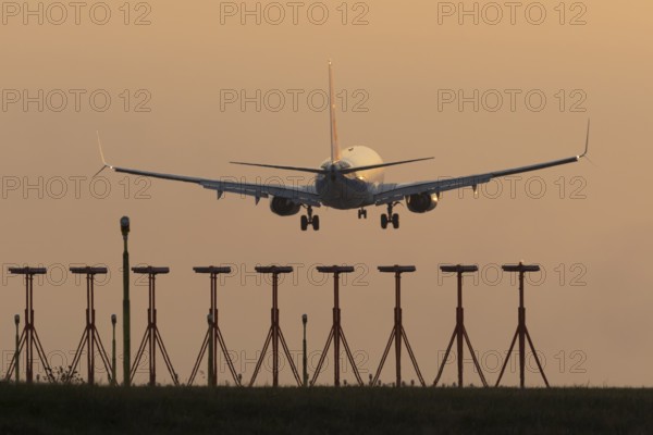 Boeing 737 jet aircraft of Ryanair airlines in flight landing at sunset at London Stansted airport, Essex, England, United Kingdom