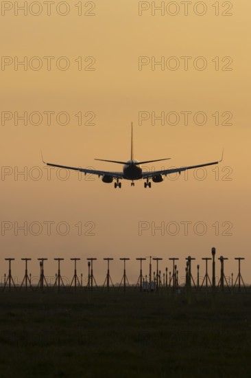 Boeing 737 jet aircraft of Ryanair airlines in flight landing at sunset at London Stansted airport, Essex, England, United Kingdom