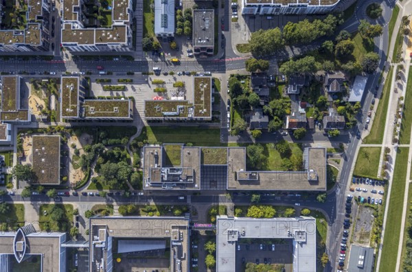 Aerial view of the future METRO campus in Düsseldorf Flingern at METROstraße 1, Flingern, Düsseldorf, Rhineland, North Rhine-Westphalia, Germany, DE, Europe, aerial photograph, birds-eyes view, aerial photography, aerial photography, overview, bird's eye view