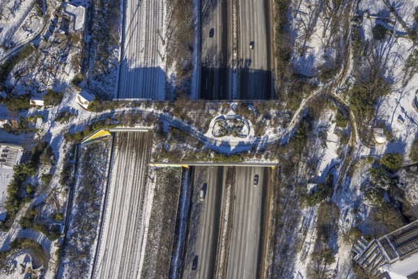 Aerial view, pedestrian bridge and green bridge at the zoo over the A3 motorway, Duissern, Duisburg, Ruhr area, North Rhine-Westphalia, Germany, motorway, bridge, DE, Europe, pedestrian bridge, green bridge, aerial view, aerial photography, aerial photography, snow, overview, bird's eye view, wildlife bridge, winter, birds-eyes view, cleared roads, overview
