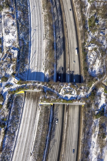 Aerial view, pedestrian bridge and green bridge at the zoo over the A3 motorway, Duissern, Duisburg, Ruhr area, North Rhine-Westphalia, Germany, motorway, bridge, DE, Europe, pedestrian bridge, green bridge, aerial view, aerial photography, aerial photography, snow, overview, bird's eye view, wildlife bridge, winter, birds-eyes view, cleared roads, overview