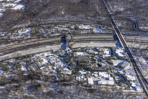 Aerial view, pedestrian bridge and green bridge at the zoo over the A3 motorway, Duissern, Duisburg, Ruhr area, North Rhine-Westphalia, Germany, motorway, bridge, DE, Europe, pedestrian bridge, green bridge, aerial view, aerial photography, aerial photography, snow, overview, bird's eye view, wildlife bridge, winter, birds-eyes view, cleared roads, overview