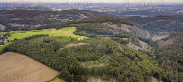 Aerial view, forest area with forest damage at the district Waldbauer Zurstraße in Breckerfeld, Sauerland, North Rhine-Westphalia, Germany, tree dieback, bark beetle damage, bark beetle plague, Breckerfeld, DE, Europe, spruce dieback, clear-cutting, aerial view, aerial photography, aerial photography, overview, bird's eye view, forest, forest damage, forest dieback, birds-eyes view, overview