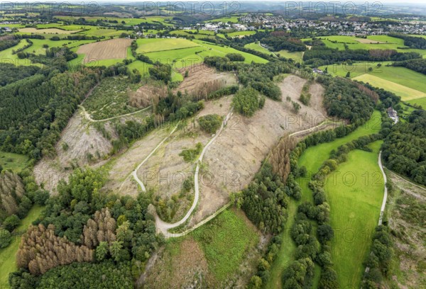 Aerial photograph, forest damage near the village of Brenscheid in Breckerfeld, Sauerland, North Rhine-Westphalia, Germany, tree death, bark beetle damage, bark beetle plague, Breckerfeld, DE, Europe, spruce death, clear-cutting, aerial photograph, aerial photography, aerial photography, overview, bird's-eye view, forest, forest damage, forest dieback, birds-eyes view, overview