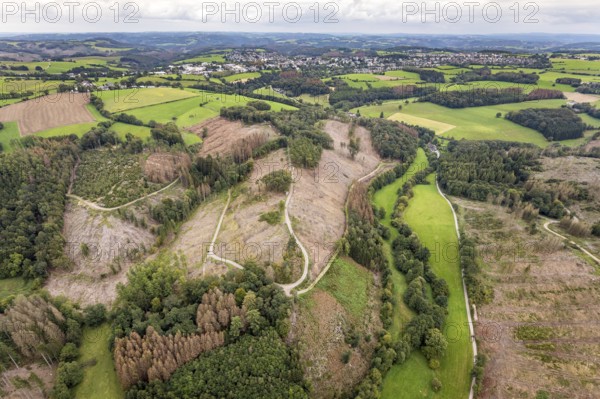 Aerial photograph, forest damage near the village of Brenscheid in Breckerfeld, Sauerland, North Rhine-Westphalia, Germany, tree death, bark beetle damage, bark beetle plague, Breckerfeld, DE, Europe, spruce death, clear-cutting, aerial photograph, aerial photography, aerial photography, overview, bird's-eye view, forest, forest damage, forest dieback, birds-eyes view, overview