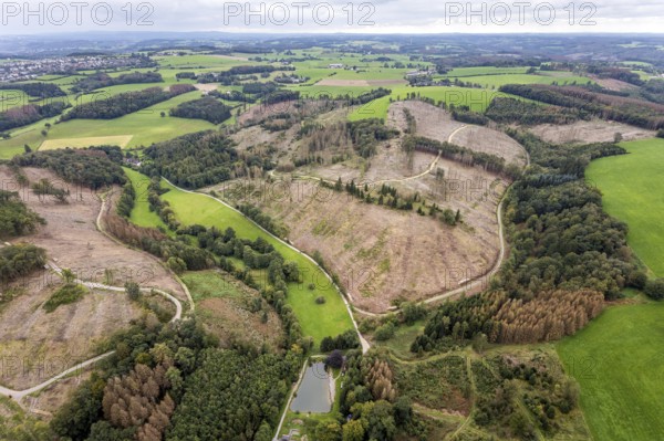 Aerial view, forest damage at the fishing ponds Angelparadies Steinbachtal in Breckerfeld, Sauerland, North Rhine-Westphalia, Germany, fishing, tree mortality, bark beetle damage, bark beetle plague, Breckerfeld, DE, Europe, spruce mortality, fishing, clear-cutting, aerial view, aerial photography, aerial photography, overview, bird's-eye view, forest, forest damage, forest dieback, birds-eyes view, overview