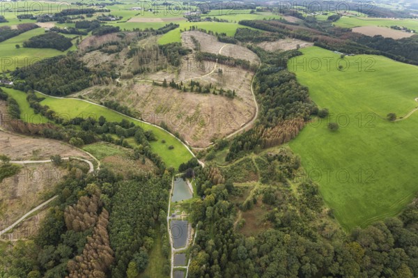 Aerial view, forest damage at the fishing ponds Angelparadies Steinbachtal in Breckerfeld, Sauerland, North Rhine-Westphalia, Germany, fishing, tree mortality, bark beetle damage, bark beetle plague, Breckerfeld, DE, Europe, spruce mortality, fishing, clear-cutting, aerial view, aerial photography, aerial photography, overview, bird's-eye view, forest, forest damage, forest dieback, birds-eyes view, overview