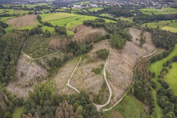 Aerial photograph, forest damage near the village of Brenscheid in Breckerfeld, Sauerland, North Rhine-Westphalia, Germany, tree death, bark beetle damage, bark beetle plague, Breckerfeld, DE, Europe, spruce death, clear-cutting, aerial photograph, aerial photography, aerial photography, overview, bird's-eye view, forest, forest damage, forest dieback, birds-eyes view, overview