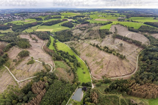 Aerial view, forest damage at the fishing ponds Angelparadies Steinbachtal in Breckerfeld, Sauerland, North Rhine-Westphalia, Germany, fishing, tree mortality, bark beetle damage, bark beetle plague, Breckerfeld, DE, Europe, spruce mortality, fishing, clear-cutting, aerial view, aerial photography, aerial photography, overview, bird's-eye view, forest, forest damage, forest dieback, birds-eyes view, overview