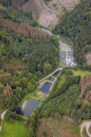Aerial photo, fishing ponds Angelparadies Steinbachtal in Breckerfeld, Sauerland, North Rhine-Westphalia, Germany, fishing, Breckerfeld, DE, Europe, fishing, aerial photography, aerial photography, aerial view, bird's-eye view, overview