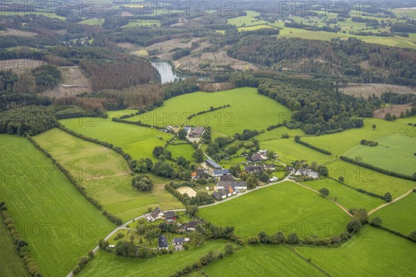 Aerial view, housing estate surrounded by meadows and fields in Ebbinghausen with forest damage at the Ennepetalsperre in Breckerfeld, Sauerland, North Rhine-Westphalia, Germany, tree dieback, bark beetle damage, bark beetle plague, Breckerfeld, DE, Europe, spruce dieback, clear-cutting, aerial view, aerial photography, aerial photography, overview, bird's eye view, forest, forest damage, forest dieback, birds-eyes view, overview