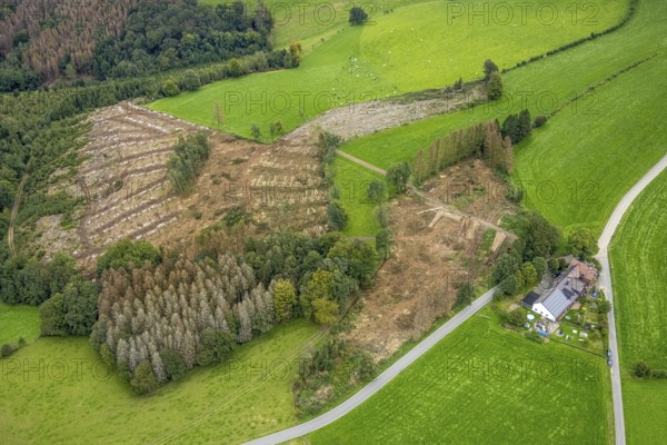 Aerial view, forest damage near the village of Boßel in Breckerfeld, Sauerland, North Rhine-Westphalia, Germany, tree dieback, bark beetle damage, bark beetle plague, Breckerfeld, DE, Europe, spruce dieback, clear-cutting, aerial view, aerial photography, aerial photography, overview, bird's-eye view, forest, forest damage, forest dieback, birds-eyes view, overview