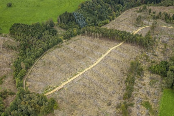 Aerial view, forest damage at Steinbachtal near the village of Boßel in Breckerfeld, Sauerland, North Rhine-Westphalia, Germany, tree dieback, bark beetle damage, bark beetle plague, Breckerfeld, DE, Europe, spruce dieback, clear-cutting, aerial photograph, aerial photography, aerial photography, overview, bird's-eye view, forest, forest damage, forest dieback, birds-eyes view, overview