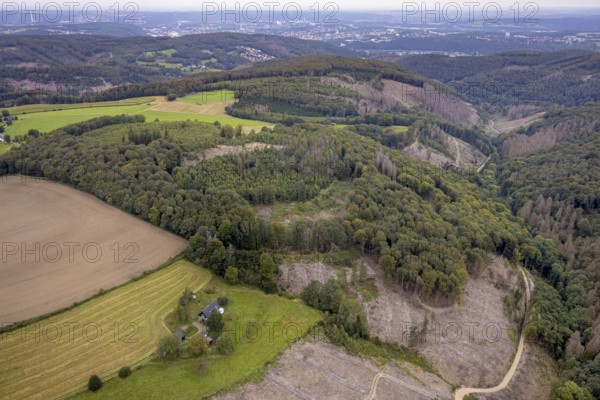 Aerial view, forest area with forest damage at the district Waldbauer Zurstraße in Breckerfeld, Sauerland, North Rhine-Westphalia, Germany, tree dieback, bark beetle damage, bark beetle plague, Breckerfeld, DE, Europe, spruce dieback, clear-cutting, aerial view, aerial photography, aerial photography, overview, bird's eye view, forest, forest damage, forest dieback, birds-eyes view, overview