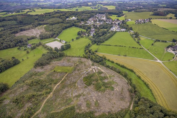 Aerial view, forest area with forest damage with view of district Waldbauer Zurstraße in Breckerfeld, Sauerland, North Rhine-Westphalia, Germany, Breckerfeld, DE, Europe, aerial view, aerial photography, aerial photography, overview, bird's-eye view, overview