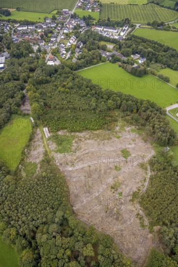 Aerial view, forest damage in the district Zurstraße in Breckerfeld, Sauerland, North Rhine-Westphalia, Germany, tree dieback, bark beetle damage, bark beetle plague, Breckerfeld, DE, Europe, spruce dieback, clear-cutting, aerial view, aerial photography, aerial photography, overview, bird's-eye view, forest, forest damage, forest dieback, birds-eyes view, overview