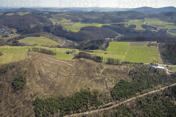 Aerial photo, forest dieback Thülener Bruch, Plattenberg, Brilon, Sauerland, North Rhine-Westphalia, Germany, DE, Europe, hilly landscape, aerial photo, aerial photography, aerial photography, overview, bird's-eye view, forest, forest area, forest damage, forest dieback, birds-eyes view, overview