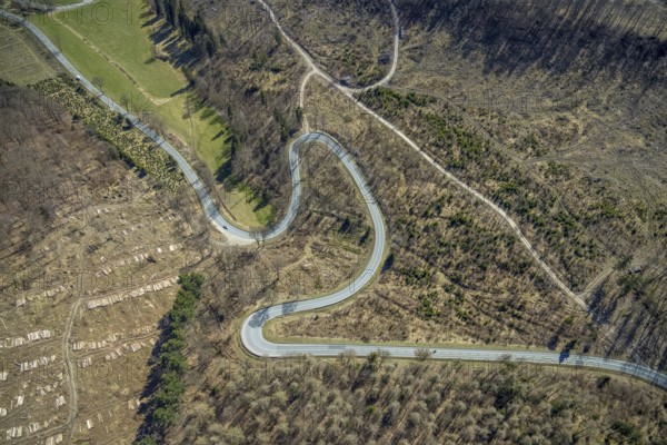 Aerial view, Bilsteinhalde, serpentines, forest dieback, hairpin bend, motorbike route, Gudenhagen, Brilon, Sauerland, North Rhine-Westphalia, Germany, DE, Europe, aerial view, aerial photography, aerial photography, road traffic, overview, bird's-eye view, forest, forest area, forest damage, birds-eyes view, overview