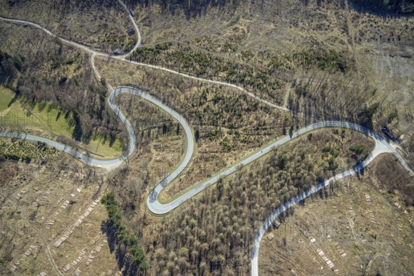 Aerial view, Bilsteinhalde, serpentines, forest dieback, hairpin bend, motorbike route, Gudenhagen, Brilon, Sauerland, North Rhine-Westphalia, Germany, DE, Europe, aerial view, aerial photography, aerial photography, road traffic, overview, bird's-eye view, forest, forest area, forest damage, birds-eyes view, overview