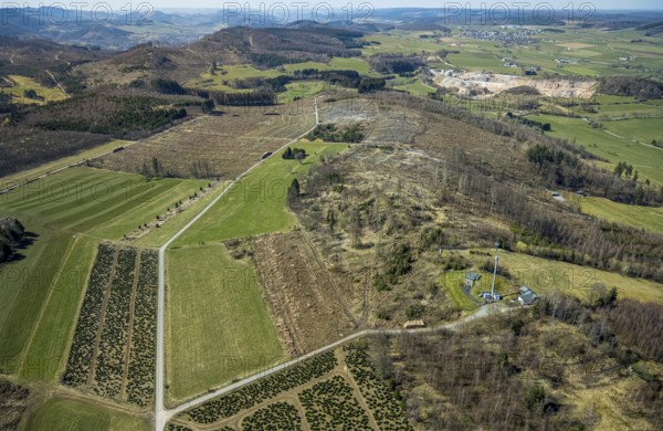 Aerial view, nature reserve Poppenberg, forest dieback, hut Ski-Club Brilon, Brilon, Sauerland, North Rhine-Westphalia, Germany, Briloner Hartstein Werk, DE, Europe, distant view, hilly landscape, aerial view, aerial photography, aerial photography, quarry, overview, bird's-eye view, overview