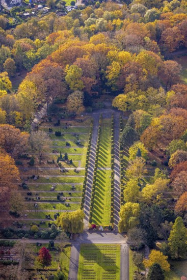 Aerial view, avenue of trees in the park cemetery in the Fuhlenbrock district of Bottrop, Ruhr area, North Rhine-Westphalia, Germany, burial site, Bottrop, DE, Europe, shapes and colours, cemetery, memorial site, Gottesacker, graves, burial ground, autumn forest, aerial photograph, aerial photography, aerial photography, resting place, overview, bird's-eye view, bird's-eye view, overview