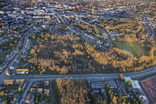 Aerial view, park with biotope in the evening light between Grünewaldstraße and Südring in the district Süd-West in Bottrop, Ruhr area, North Rhine-Westphalia, Germany, Bottrop, DE, Europe, aerial view, aerial photography, aerial photography, park, overview, bird's-eye view, forest, birds-eyes view, overview