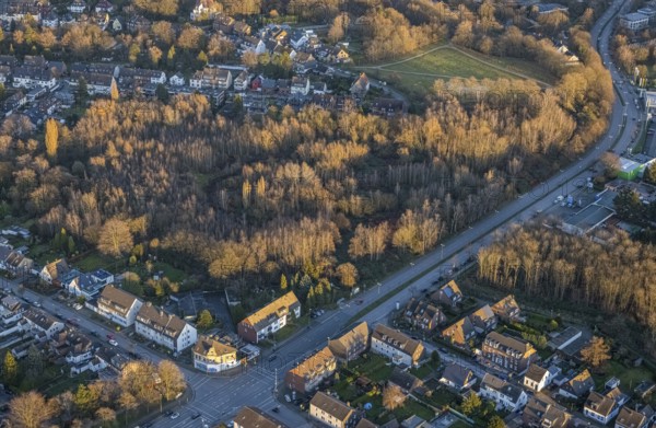 Aerial view, park with biotope in the evening light between Grünewaldstraße and Südring in the district Süd-West in Bottrop, Ruhr area, North Rhine-Westphalia, Germany, Bottrop, DE, Europe, aerial view, aerial photography, aerial photography, park, overview, bird's-eye view, forest, birds-eyes view, overview