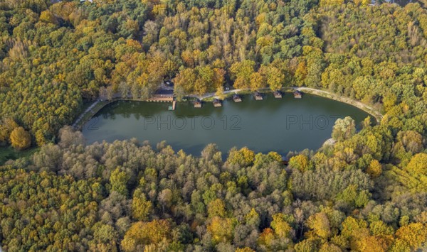 Aerial view, autumnal forest at the trout lake with fishing park Zur Grafenmühle in the district Kirchhellen-Süd in Bottrop, Ruhr area, North Rhine-Westphalia, Germany, Bottrop, DE, Europe, aerial view, aerial photography, aerial photography, overview, bird's-eye view, overview