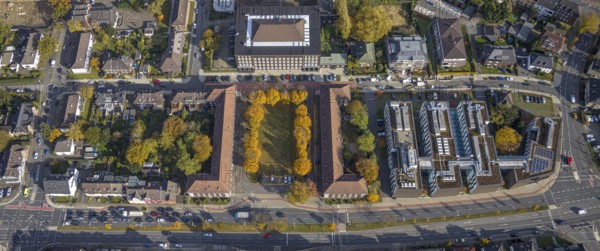 Aerial view, Hochschule Ruhr West - Campus Bottrop, Hans-Sachs-Platz and trees in autumn colours in the district Nord-Ost in Bottrop, Ruhr area, North Rhine-Westphalia, Germany, row of trees, Bottrop, DE, Europe, aerial view, aerial photography, aerial photography, overview, bird's-eye view, birds-eyes view, overview