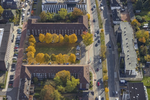 Aerial view, Hans-Sachs-Platz and trees in autumn colours in the district Nord-Ost in Bottrop, Ruhr area, North Rhine-Westphalia, Germany, row of trees, Bottrop, DE, Europe, aerial view, aerial photography, aerial photography, overview, bird's eye view, birds-eyes view, overview